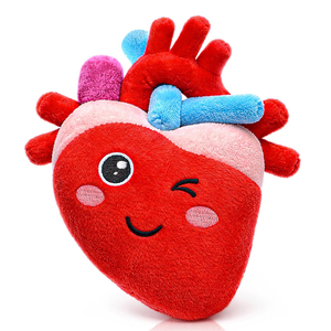 Peluche de Corazón Personalizado al por Mayor, Células Sanguíneas de Peluche, Regalos de Recuperación de Cirugía Cardíaca, Regalo para Supervivientes de Ataques, Regalos Anatómicos - Product Image 1