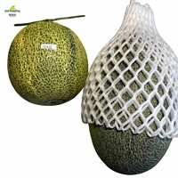 Filet de protection en mousse EPE pour fruits : emballage en filet pour melon Hami, pastèque et cantaloup