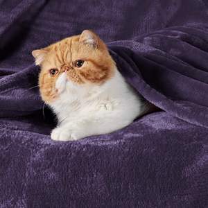 Cobertor De Flanela Macia Sedosa, Qualidade Superior Toda A Temporada, Cobertor Cama De Casal, Cobertor De Flanela Lap - Product Image 3