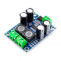Module amplificateur audio numérique XH-M311 Mini Edition TPA3118, monocanal 60W