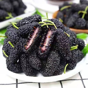 <span class=keywords><strong>Thé</strong></span> aux fruits de mûre en gros, sans additifs, fruits de mûre noirs séchés naturels de haute qualité - Product Image 4