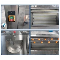 Automatische borstelrol groentewasmachine van 304 roestvrij staal voor aardappel, gember, wortel, zoete aardappel en wortelgroenten.
