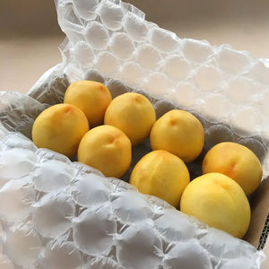 Pellicola ammortizzante a bolle d'aria PE per imballaggio | Spessore 30-80μ<span class=keywords><strong>m</strong></span> | Formato personalizzato/stampa (300m MOQ) | Spedizione veloce <span class=keywords><strong>3</strong></span>-5 giorni - Product Image 6