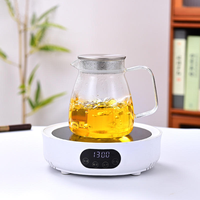 Théière moderne en verre borosilicate haute résistance de 800 ml, écologique, avec filtre en acier inoxydable et couvercle, bouilloire électrique pour le bureau
