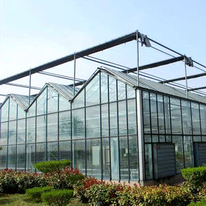 Grande serre agricole multi-travées en verre trempé avec structure en acier galvanisé à chaud, fenêtres de toit et conception ventilée - Product Image 5