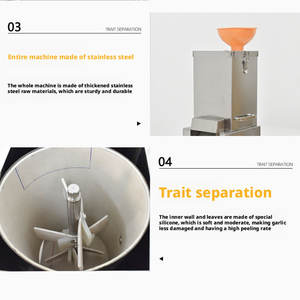 Descascador Automático de Alho Comercial - Máquina Elétrica de Descascamento em Aço Inoxidável para Processamento de Alho - Product Image 5