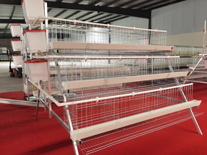 Cage à poules pondeuses automatique de type A H, 3 niveaux, 4 étages, galvanisée, pour 10 000 à 20 000 poules, cages en batterie pour poules pondeuses - Product Image 1