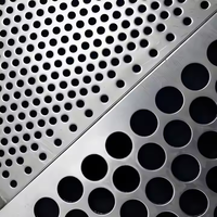 La poudre décorative a enduit la feuille perforée en métal/a galvanisé les feuilles perforées de trou micro d'acier inoxydable pour des revêtements de construction