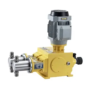 2J-X double stainless steel pump head metering pump high pressure duplex head plunger dosing pump