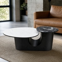 Table basse moderne haut de gamme avec plateau en marbre et structure métallique, design durable pour petit appartement, mobilier de salon de luxe