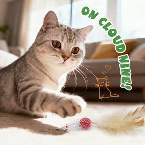 Tubo de malla elástica Genie Cat Teaser Refill Variety Pack, juguetes interactivos para gatos con forma de zanahoria, camarón, ratón, pez, <span class=keywords><strong>gusano</strong></span> y libélula - Product Image 6