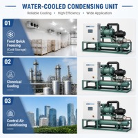 Unité de condensation à refroidissement par eau sur mesure pour congélation rapide, réaction chimique, moulage par injection, stockage frigorifique et climatisation