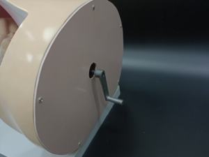 Modèle de cours de livraison pour l'enseignement médical - Product Image 5