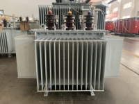 Transformateur de distribution immergé dans l'huile 100kVA 1/10/0 kv