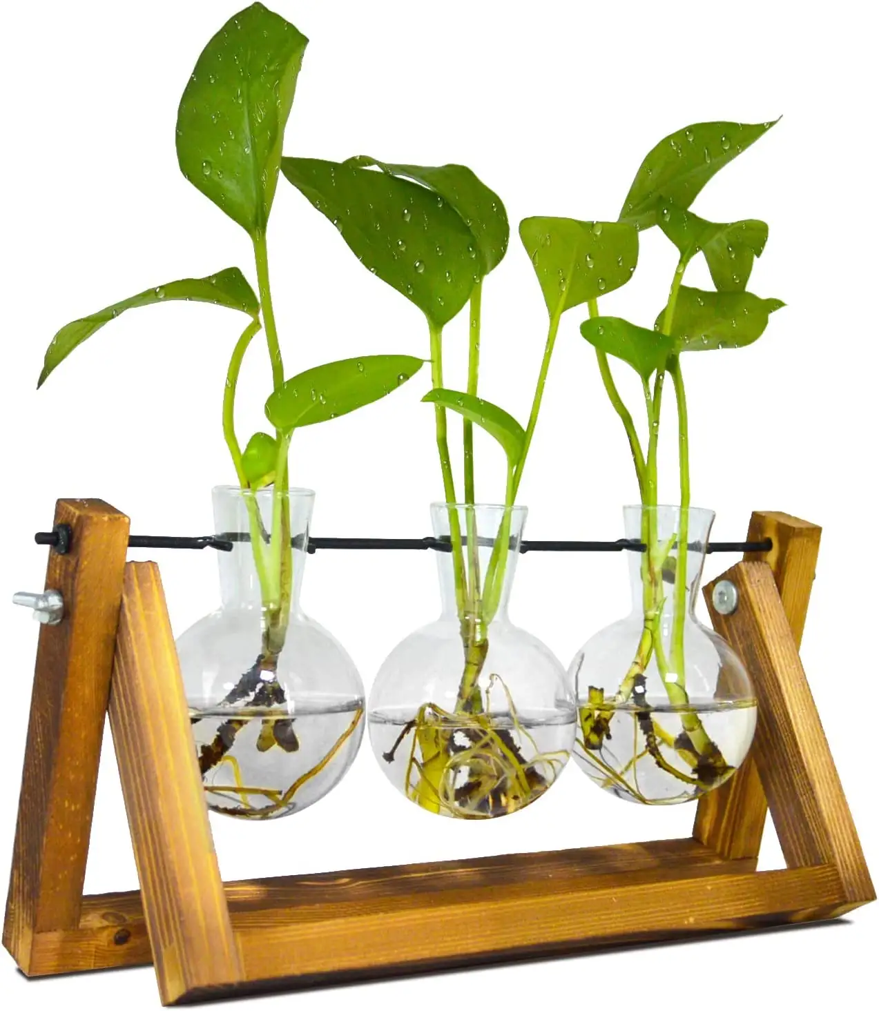 Planteur à Air de bureau, Vase en verre, station de propagation de plantes pour plantes aquatiques hydroponiques d'intérieur