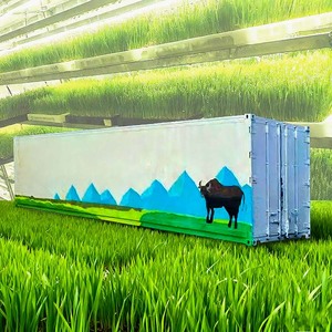 Sistema de Cultivo Modular en Contenedor Marítimo, Exterior Blanco y Verde, Unidad de Cultivo Hidropónico Comercial - Product Image 6