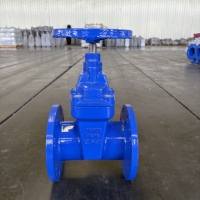 Vanne à opercule à joint souple en fonte ductile à commande manuelle PN10/PN16 basse température pour l'eau 2 pouces