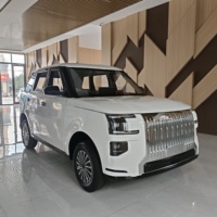 Nouveau SUV LHD de haute qualité, véhicule électrique à basse vitesse à 4 roues, moteur 3500W pour adultes, véhicule électrique à énergie nouvelle, 4 portes, 5 places, hybride