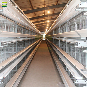 Proyecto Llave en Mano para Granja Avícola: Gallinero Prefabricado de Acero Tipo H con Jaulas Automáticas para <span class=keywords><strong>Gallinas</strong></span> <span class=keywords><strong>Ponedoras</strong></span> y Solución de Diseño de Equipamiento de Cría - Product Image 2