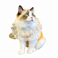Collier de luxe pour animaux de compagnie, style princesse, pour fête d'anniversaire, avec paillettes, dentelle et nœud, pour chats et chiens