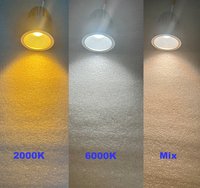 Module LED intelligent pour maison connectée Benory 24V DALI Dimmable CRI95 MR16 Spot Loxone Tree KNX GVS MDT Tuya Zigbee DMX 512 RGBW MR16 Downlight