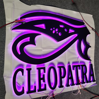 Publicité extérieure Décoratif de haute qualité Diode électroluminescente 3D Rétro-éclairage Alphabet Ouverture Logo Caractère lumineux