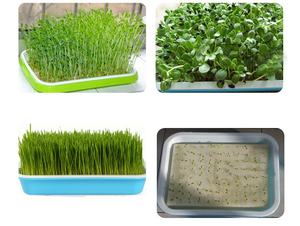 <span class=keywords><strong>Germination</strong></span> pois haricot cacahuète plantation hydroponique pépinière semis Micro plateau vert pour la culture sans sol <span class=keywords><strong>plaque</strong></span> de <span class=keywords><strong>germination</strong></span> - Product Image 5