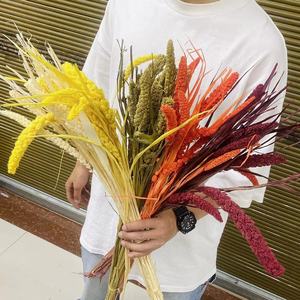 Approvisionnement d'usine fleurs décoration <span class=keywords><strong>millet</strong></span> Nature <span class=keywords><strong>Millet</strong></span> Fleur Herbe Graines Coloré Plante Naturelle <span class=keywords><strong>Millet</strong></span> Séché - Product Image 6
