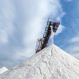 EGYPTIAN <b>SALT</b> YAMY 5Kg Refined Powder Bulk Packaging Premium Quality ISO Halal Certified Natural Origin Edible <b>Salt</b> - Product Image 4