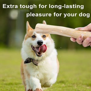 Personalizzato di fabbrica naturale durevole in legno di caffè cane bastone giocattolo interattivo denti puliti indistruttibile giocattolo per cani da masticare - Product Image 3