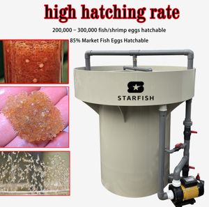 Cá trang trại giống thiết bị: cá rô phi ấp xô cho nuôi trồng thủy sản - Product Image 2