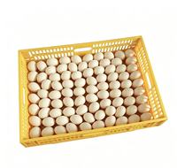 Accessoire professionnel d'incubation avicole : Panier d'éclosion jaune détachable avec conception amovible à tirer