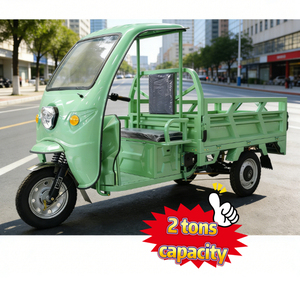 Triciclo Eléctrico de Carga de 2000W, el Más Vendido, para Uso Familiar, Duradero, de Alta Eficiencia y con Capacidad de 2 Toneladas - Product Image 1