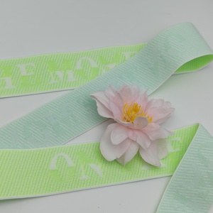 Custom Elastic <b>Webbing</b> Clothes <b>Webbing</b> Jacquard Nylon <b>Webbing</b> for Bags Straps Elastic Tape <b>Webbing</b> Waist Band Waistband Sport - Product Image 1