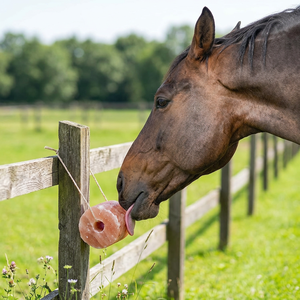 Demaro - Sal de Cristal Natural para Animales, Sal de Montaña Seca para Ganado, Caballos, Perros y Otros Animales, Tamaño Grande - Product Image 1