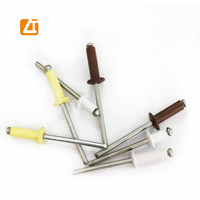 Personnaliser le type ouvert tête de dôme couleur en aluminium peint rivets aveugles en acier prix de rivet pop