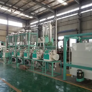Zambia 20ton flour mill plant maize milling plant with degerminator for sale