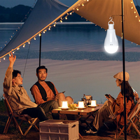 Ampoule de secours LED AC85-265V rechargeable de haute qualité haute luminosité avec batterie détachable pour le camping en plein air