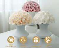 Usine En Gros Cadeaux Du Jour De Noël Fleur Préservée Équateur Éternelle Floral Déco Longue Durée Réelle Rose Préservée Dans Un Vase