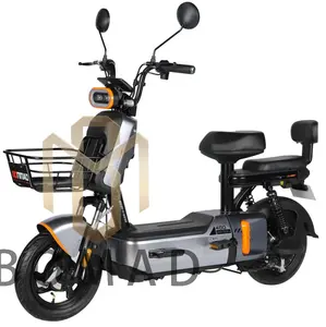 350W motore 48V 20A batteria al piombo bicicletta elettrica