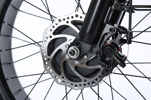 Bicicletta elettrica <span class=keywords><strong>a</strong></span> <span class=keywords><strong>3</strong></span> <span class=keywords><strong>ruote</strong></span> per passeggero <span class=keywords><strong>a</strong></span> corpo aperto cestello 48v/60v consegna <span class=keywords><strong>a</strong></span> distanza Scooter elettrico certificato EEC - Product Image 4