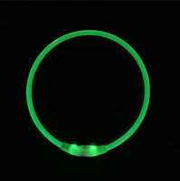 Collier lumineux et étanche pour chien, accessoire pour animal de compagnie, chat, led Rechargeable par USB, pour la sécurité nocturne
