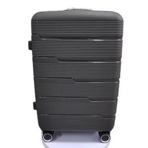 Juego de maletas personalizadas, carrito de viaje, equipaje de 4 ruedas, juego de equipaje de PP, maleta con ruedas, equipaje y bolsas de viaje