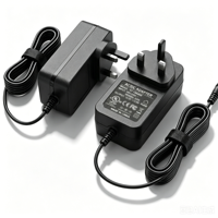 Transformateur AC/DC mural personnalisé 24V 1A 1.5A 2A 100-240V avec prise EU/AU pour diffuseur d'arômes et purificateur d'air