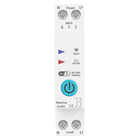 1P TUYA Smart Life Compatible Smart Switch 63A Compteur d'énergie 110v 220v KWh Mesure Surveillance Disjoncteur Minuterie Relais Simple