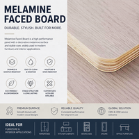 Panneau de contreplaqué mélaminé sur mesure, épaisseurs 3mm, 6mm, 12mm, 18mm, panneau de bois stratifié pour la fabrication OEM