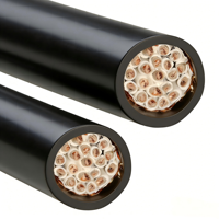Câble de commande basse tension RVVP industriel, conducteur en cuivre nu toronné, isolé en PVC, blindé en cuivre, 300/500V, 2-5 conducteurs, usage domestique