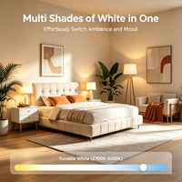 Ampoules LED intelligentes E27 A60 CW 9W 806 LM Tuya Wifi pour Alexa Google App Control, ampoules LED intelligentes à intensité variable pour la maison