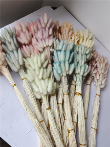Fleurs séchées en gros, herbe de queue de lapin (<span class=keywords><strong>Lagurus</strong></span>), 60 tiges par bouquet, Fête des Mères, Noël, longue durée (3-5 ans), Yunnan - Product Image 6
