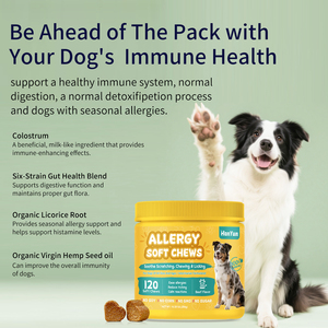 OEM Soulagement des allergies chez le <span class=keywords><strong>chien</strong></span> Doux à mâcher Démangeaisons Soutien de la <span class=keywords><strong>peau</strong></span> Anti-démangeaisons Supplément pour la <span class=keywords><strong>peau</strong></span> et le pelage avec probiotiques Colostrum Quercétine - Product Image 2